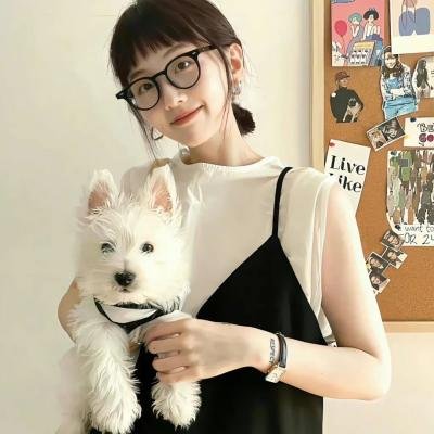 汪洋中的一条船